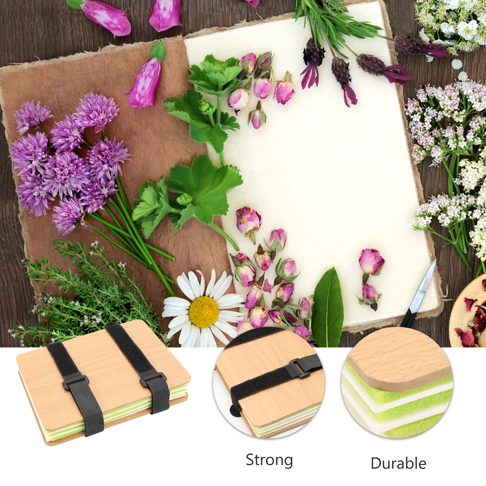 Flower Press Plant Specimen Tool Set Dried Flowers Wood Pressor Outdoor Activities Kids Nature Flower Press Kit Learning
Flower Press Plant Specimen Tool Set Dried Flowers Wood Pressor Outdoor Activities Kids Nature Flower Press Kit Learning