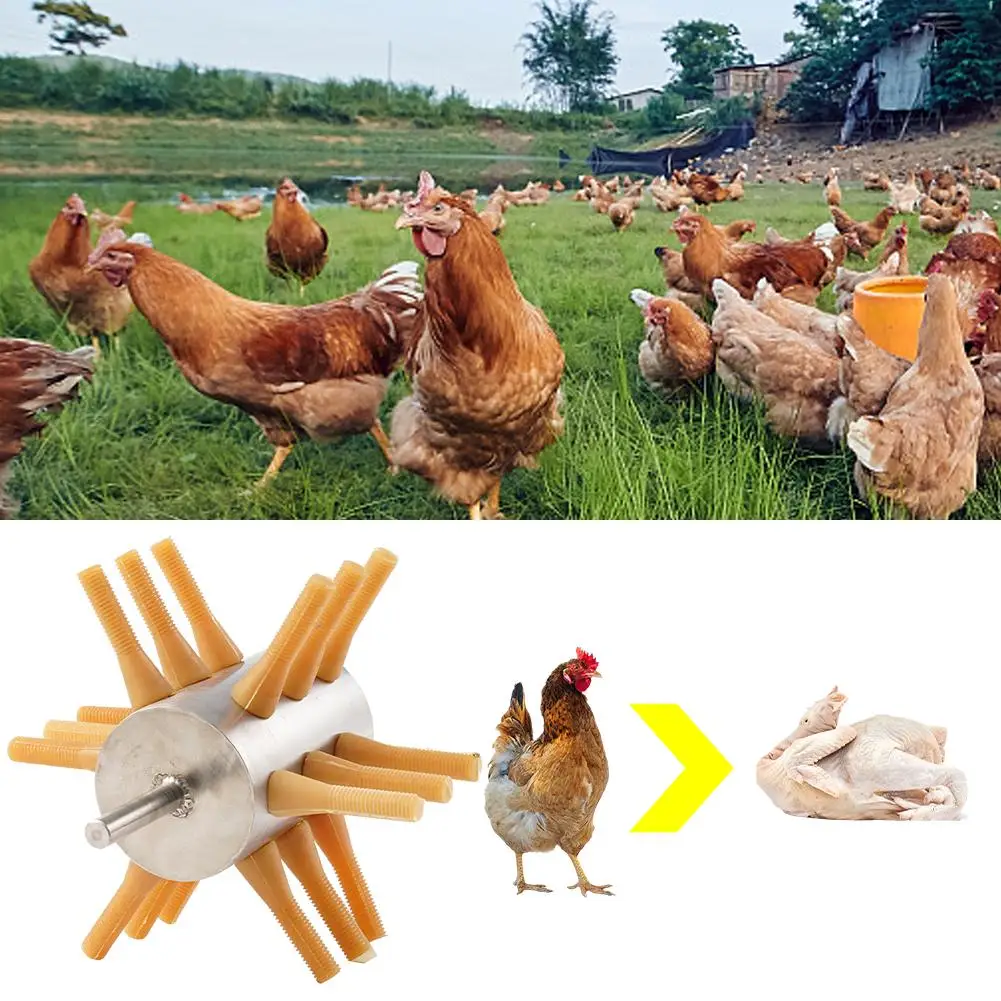 1PCS Chicken Plucker Drill Attachment Stainless Steel Chicken Chicken Fingers Plucker 18 Plucker Feather Machine Removal F9N7
1PCS Chicken Plucker Drill Attachment Stainless Steel Chicken Chicken Fingers Plucker 18 Plucker Feather Machine Removal F9N7