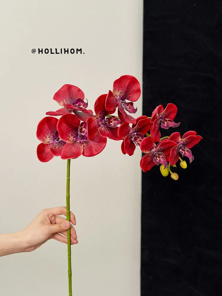 Искусственная красная орхидея: высококачественный декор для гостиной, украшение для новоселья и помолвки, для оформления интерьера
Искусственная красная орхидея: высококачественный декор для гостиной, украшение для новоселья и помолвки, для оформления интерьера