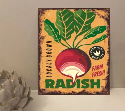 Металлическая табличка-вывеска Radish Farm в деревенском ретро-стиле, подарок, декор для дома (mt83)-Алюминий
Металлическая табличка-вывеска Radish Farm в деревенском ретро-стиле, подарок, декор для дома (mt83)-Алюминий