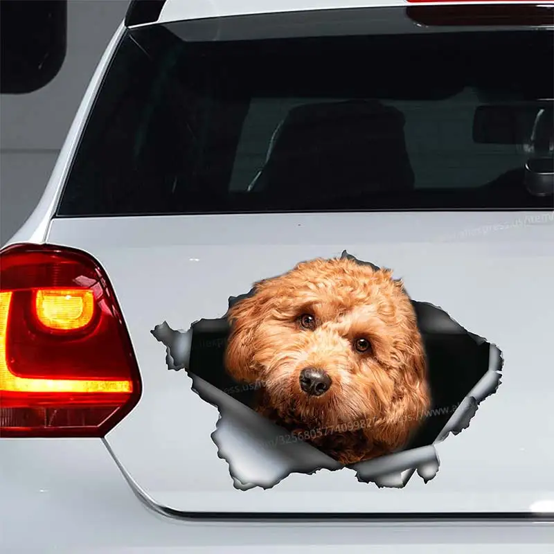 Cavapoo Dog Animal Car Sticker Waterproof Vinyl Decal on Bumper Rear Window Laptop Self-adhesive Decal SH144
Cavapoo Dog Animal Car Sticker Waterproof Vinyl Decal on Bumper Rear Window Laptop Self-adhesive Decal SH144