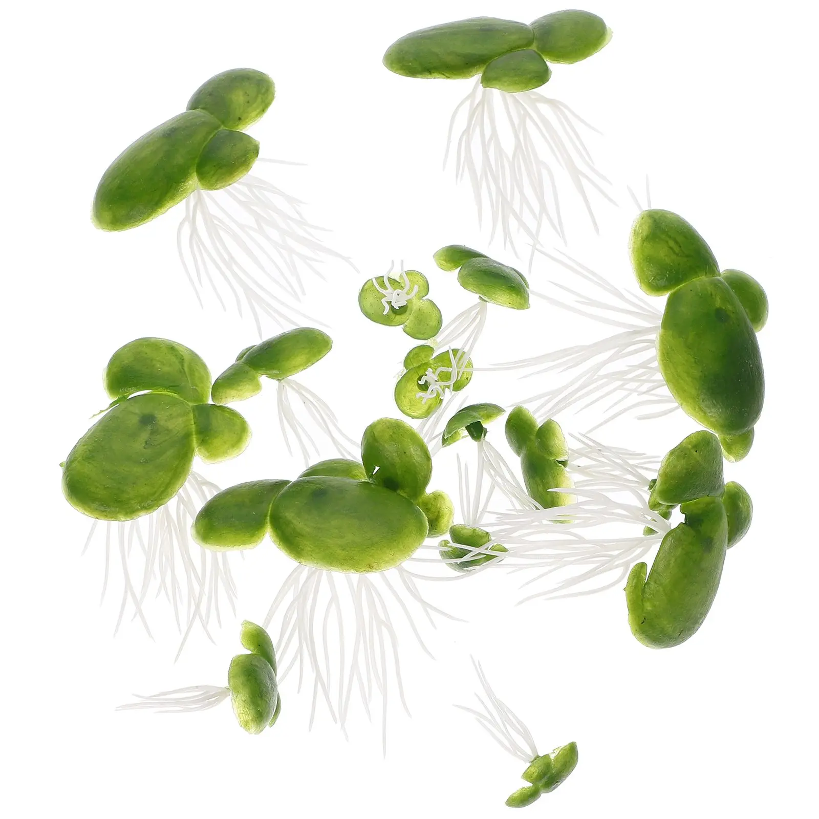 18 Pcs Artificial Plants PVC Mini Floating Duckweed Aquarium naments Natural Environment Fish Tank Decor Pond Scenery
18 Pcs Artificial Plants PVC Mini Floating Duckweed Aquarium naments Natural Environment Fish Tank Decor Pond Scenery
