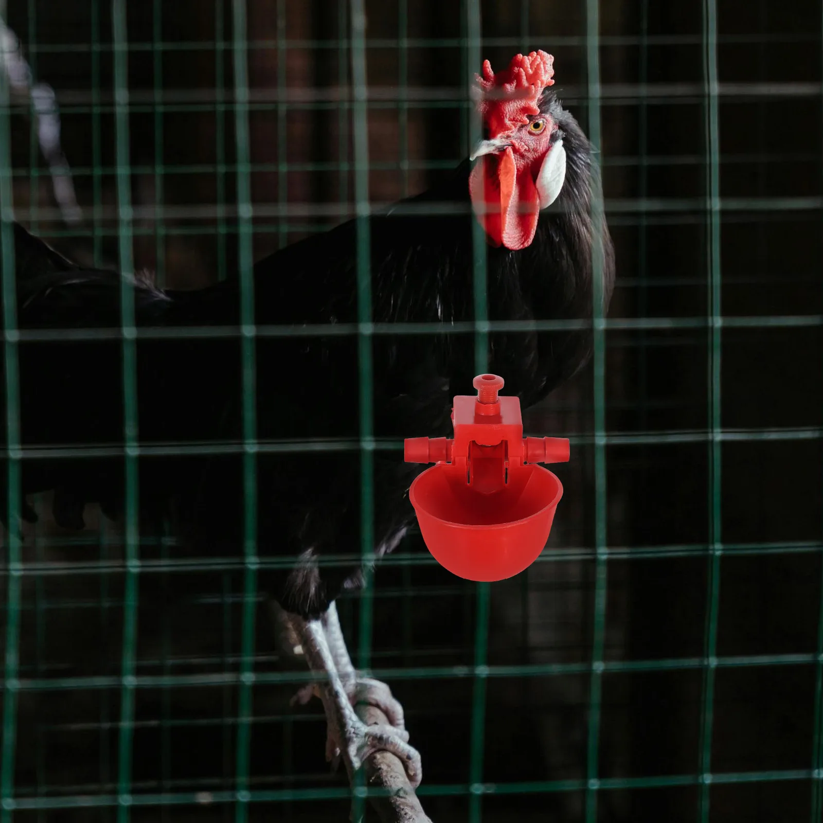 20pcs Chick Water Fountain Durable Chicken Watering Quail Pigeon Bird Cup Pet Farm Water Saving Plastic Cups
20pcs Chick Water Fountain Durable Chicken Watering Quail Pigeon Bird Cup Pet Farm Water Saving Plastic Cups