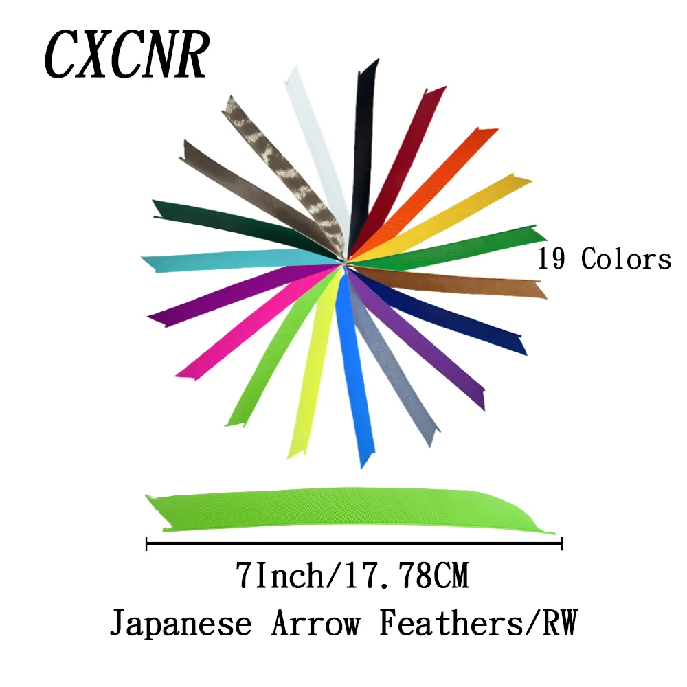 50Pcs 7Inch Japanese Style RW Turkey Feathers 17 Colors Arrow Fletching for Traditional Recurve Bow Longbow Archery Hunting
50Pcs 7Inch Japanese Style RW Turkey Feathers 17 Colors Arrow Fletching for Traditional Recurve Bow Longbow Archery Hunting