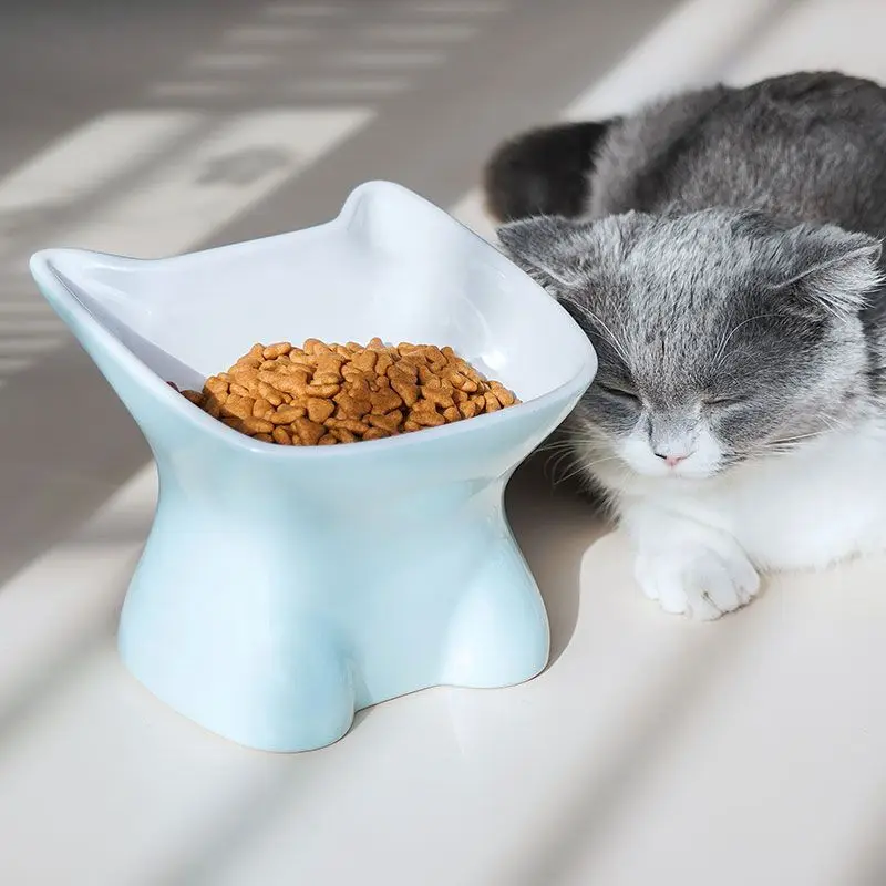 Hot-selling Nordic Style Pet Bowl Anti-Overturning 15°Neck Guard Cat Water Bowl Binaural Washable Pet Feeding Supplies
Hot-selling Nordic Style Pet Bowl Anti-Overturning 15°Neck Guard Cat Water Bowl Binaural Washable Pet Feeding Supplies