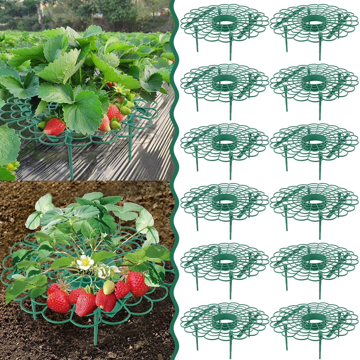 10Pcs Strawberry Supports Strawberry Frame Holder Balcony Planting Rack Plant Flower Stand for Home Garden Decor Supplies
10Pcs Strawberry Supports Strawberry Frame Holder Balcony Planting Rack Plant Flower Stand for Home Garden Decor Supplies