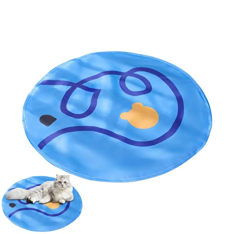Cat Toys For Indoor Interactive Cat Toy Portable Play Mat Safe And Comfortable Pet Game Long-Lasting Indoor Supplies For Kittens
Cat Toys For Indoor Interactive Cat Toy Portable Play Mat Safe And Comfortable Pet Game Long-Lasting Indoor Supplies For Kittens