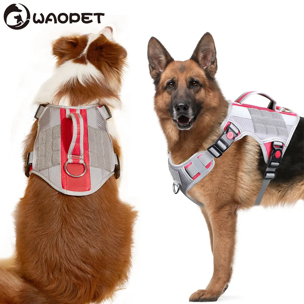 Dog Walking Harness High Quality No Pull Pet Lead Vest Reflective Medium And Heavy Duty With Front Clip Easy Control Dog Harness
Dog Walking Harness High Quality No Pull Pet Lead Vest Reflective Medium And Heavy Duty With Front Clip Easy Control Dog Harness
