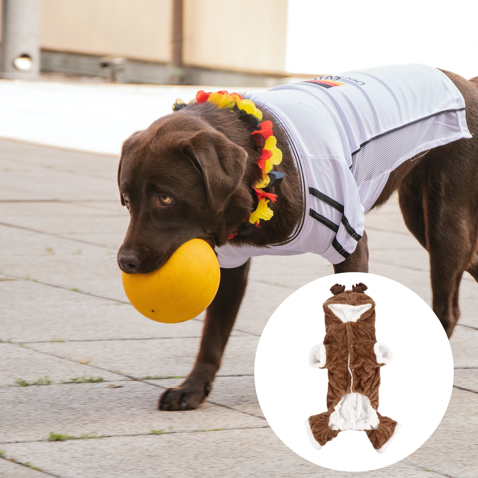 Cute Dog Coral Fleece Puppy Costume Pet Jumper Clothes Holiday Apparel Puppy Costume Warm Dog Clothes Material
Cute Dog Coral Fleece Puppy Costume Pet Jumper Clothes Holiday Apparel Puppy Costume Warm Dog Clothes Material
