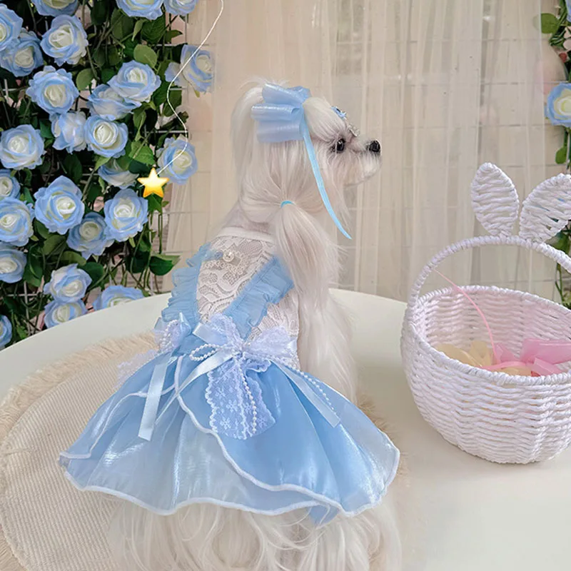 Pink Blue Purple Puppy Dog Cats Costumes Summer Hollow Lace Bow Party Princess Dress for Small Medium Dog Yorkshire Pet Clothes
Pink Blue Purple Puppy Dog Cats Costumes Summer Hollow Lace Bow Party Princess Dress for Small Medium Dog Yorkshire Pet Clothes
