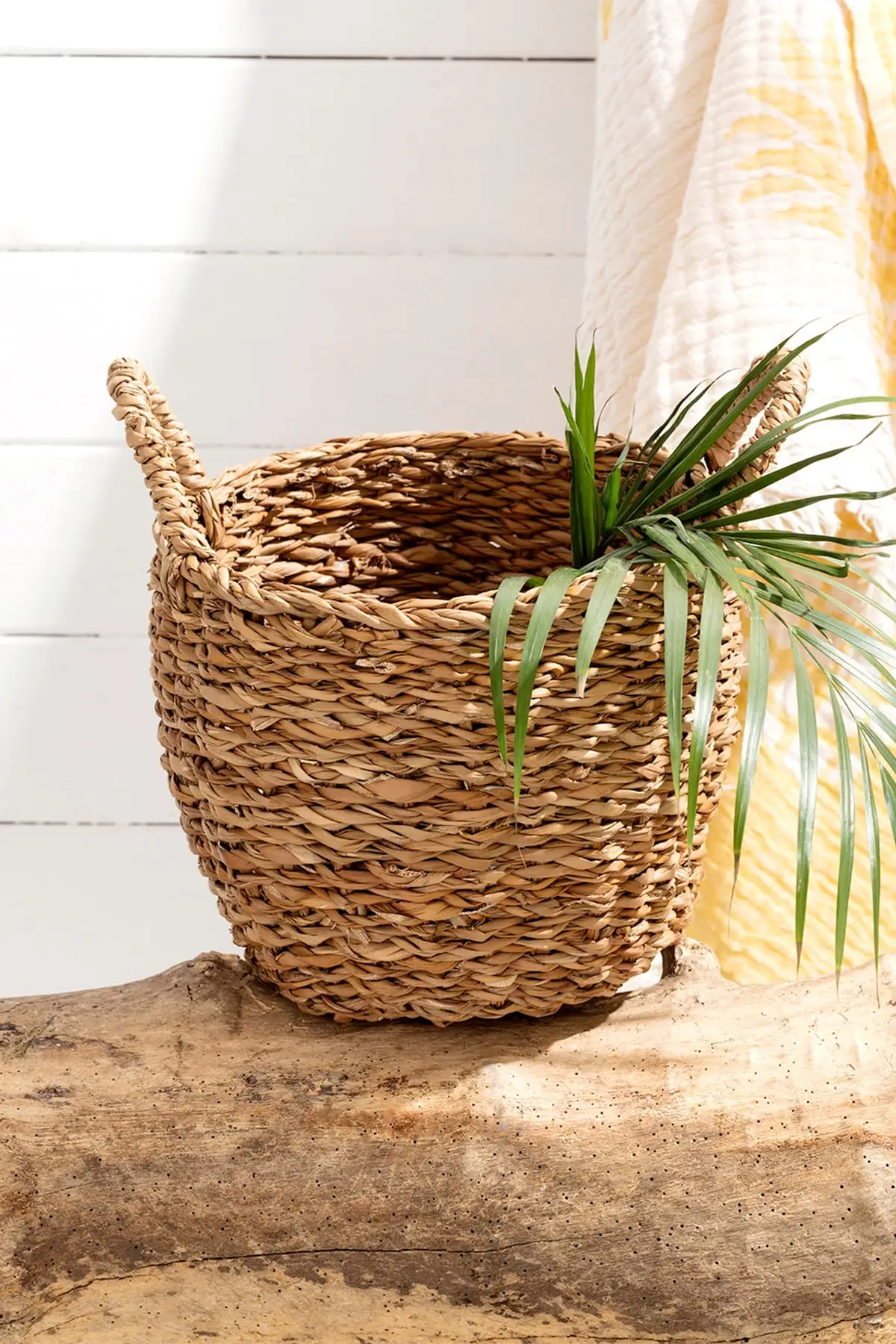 Handmade Small Wicker Basket 24x20 Cm Flower Pot Knitted Basket Home Garden Decoration
Handmade Small Wicker Basket 24x20 Cm Flower Pot Knitted Basket Home Garden Decoration