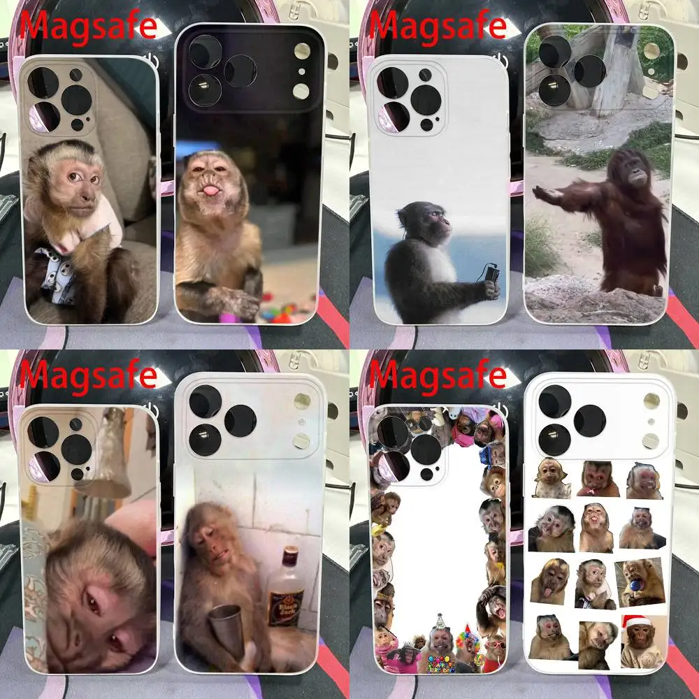 Cute Funny Monkey Phone Case For iPhone 14,16,15,11,13,17,12,Air,Mini,Plus,E,Pro,Max Magnetic Magsafe Frosted Cover
Cute Funny Monkey Phone Case For iPhone 14,16,15,11,13,17,12,Air,Mini,Plus,E,Pro,Max Magnetic Magsafe Frosted Cover
