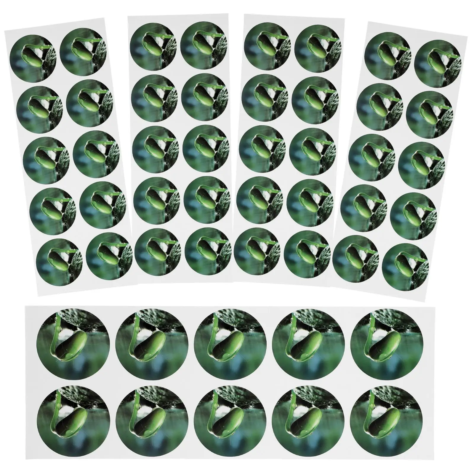 50 Pieces Hydroponic Plant Labels PVC Self adhesive Stickers Circle Tags Seed Pot Markers Planting Supplies Gardening Tools
50 Pieces Hydroponic Plant Labels PVC Self adhesive Stickers Circle Tags Seed Pot Markers Planting Supplies Gardening Tools