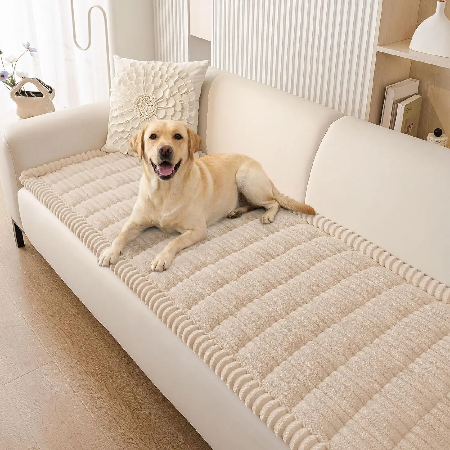 Моющийся нескользящий чехол для дивана с 3 подушками, мягкий пушистый защитный чехол абрикосового цвета (27,6 x 82,7 дюйма)
Моющийся нескользящий чехол для дивана с 3 подушками, мягкий пушистый защитный чехол абрикосового цвета (27,6 x 82,7 дюйма)