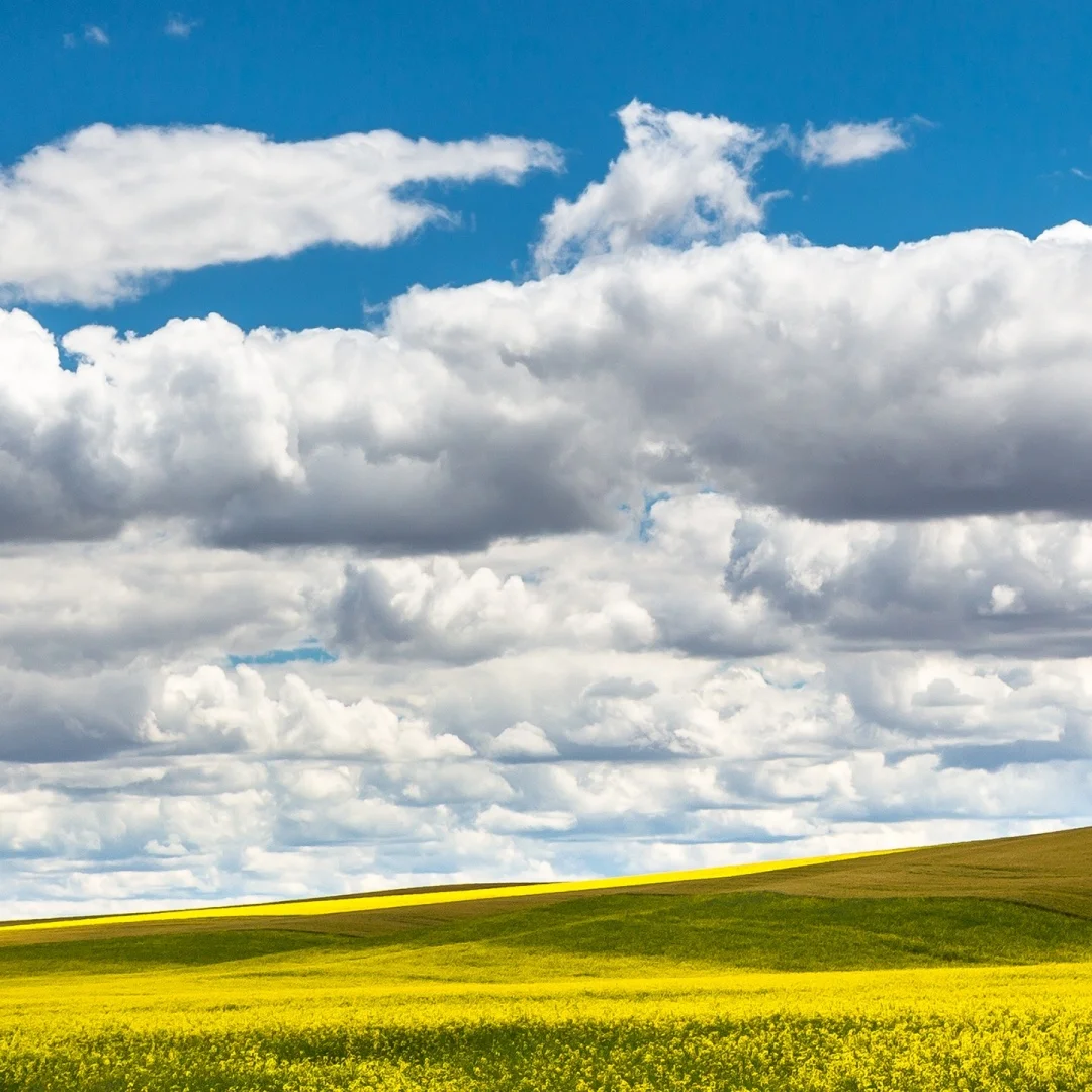 Car Accessories Android Double Knob Screen For Benz Sprinter 2018 2019 2020 2021 2022 Multimedia Player Gps Navigation Head Unit
Car Accessories Android Double Knob Screen For Benz Sprinter 2018 2019 2020 2021 2022 Multimedia Player Gps Navigation Head Unit