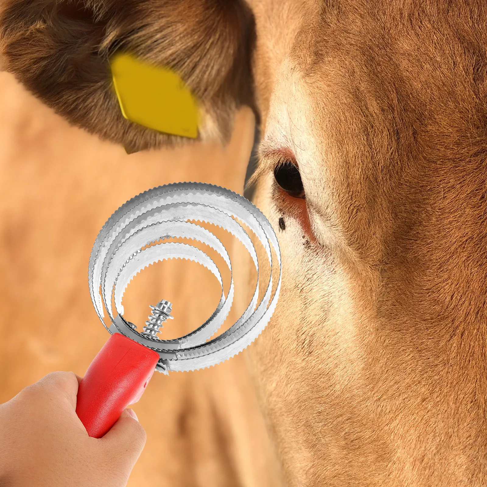 Horse Grooming Brush Plastic Livestock Hair Comb Cattle Bridegroom Saddle Covers Western Cleaning Massage Body Removable Mud
Horse Grooming Brush Plastic Livestock Hair Comb Cattle Bridegroom Saddle Covers Western Cleaning Massage Body Removable Mud