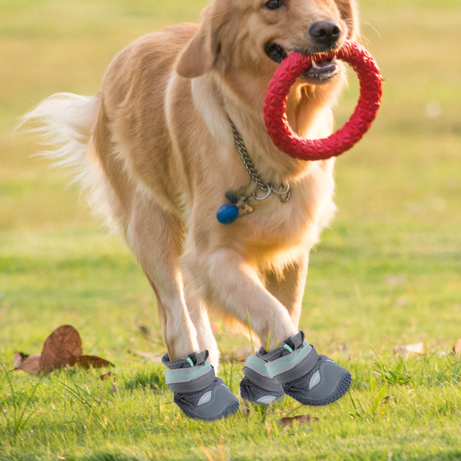 4Pcs Non-Slip Pet Shoes Breathable Lightweight Dog Booties for Small Puppies Daily Walks and Adventures Dog Booties
4Pcs Non-Slip Pet Shoes Breathable Lightweight Dog Booties for Small Puppies Daily Walks and Adventures Dog Booties