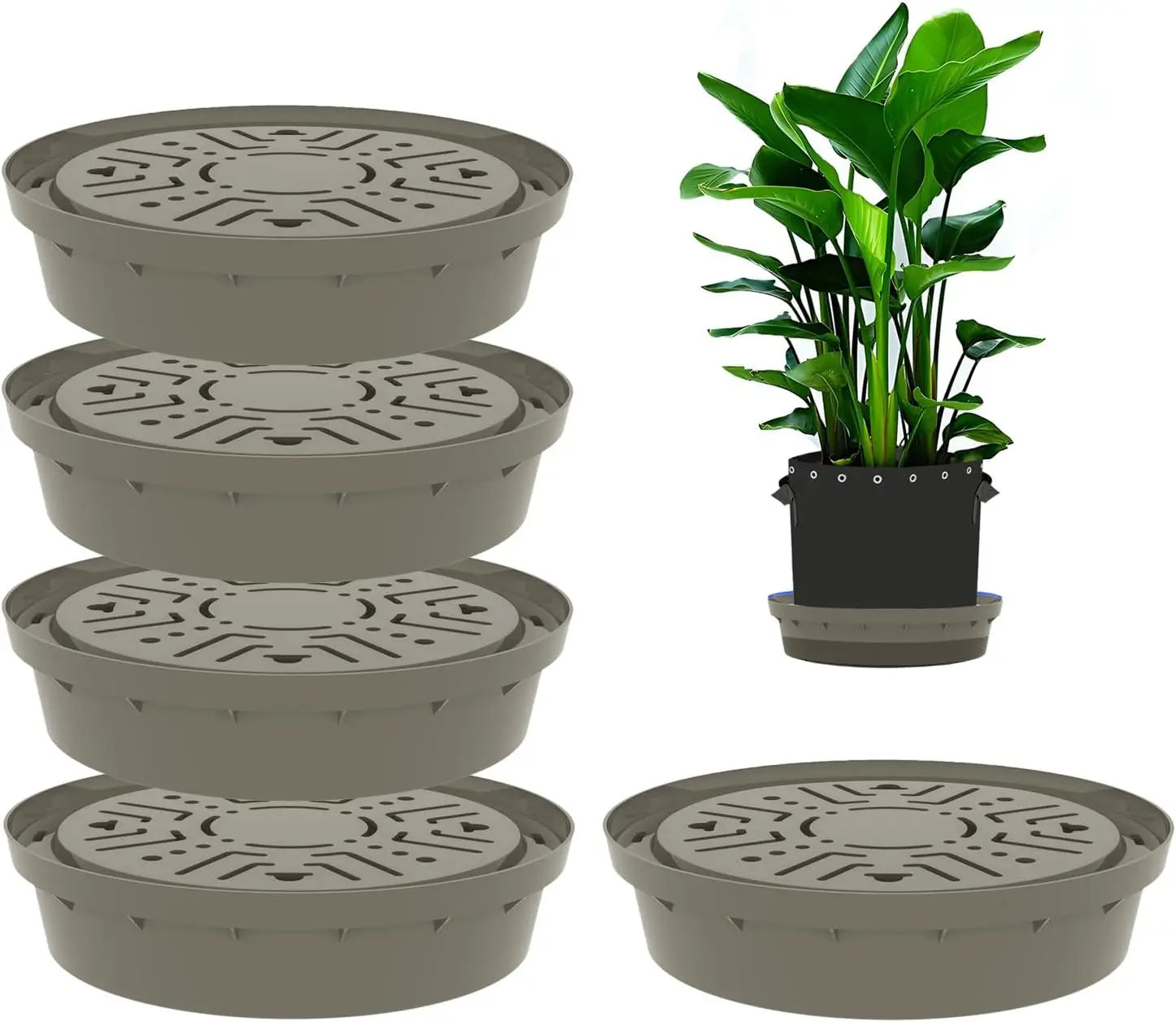 5-Pack Self-Watering Plant Base, Visible Water Level, Keeps Pests Out, Brown
5-Pack Self-Watering Plant Base, Visible Water Level, Keeps Pests Out, Brown