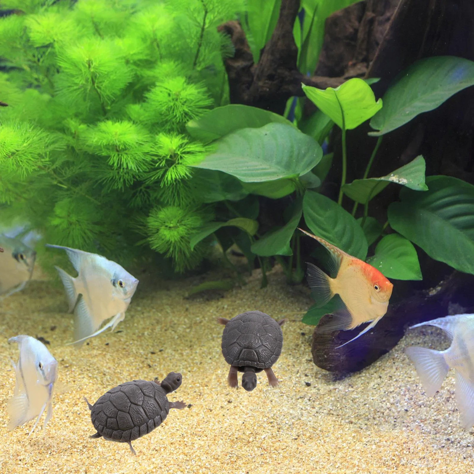 3pcs Plastic Fish Turtle Fake Realistic Safe Vivid Decoration for Tank Aquarium Ornament Animal Figure Toy Kids Play
3pcs Plastic Fish Turtle Fake Realistic Safe Vivid Decoration for Tank Aquarium Ornament Animal Figure Toy Kids Play