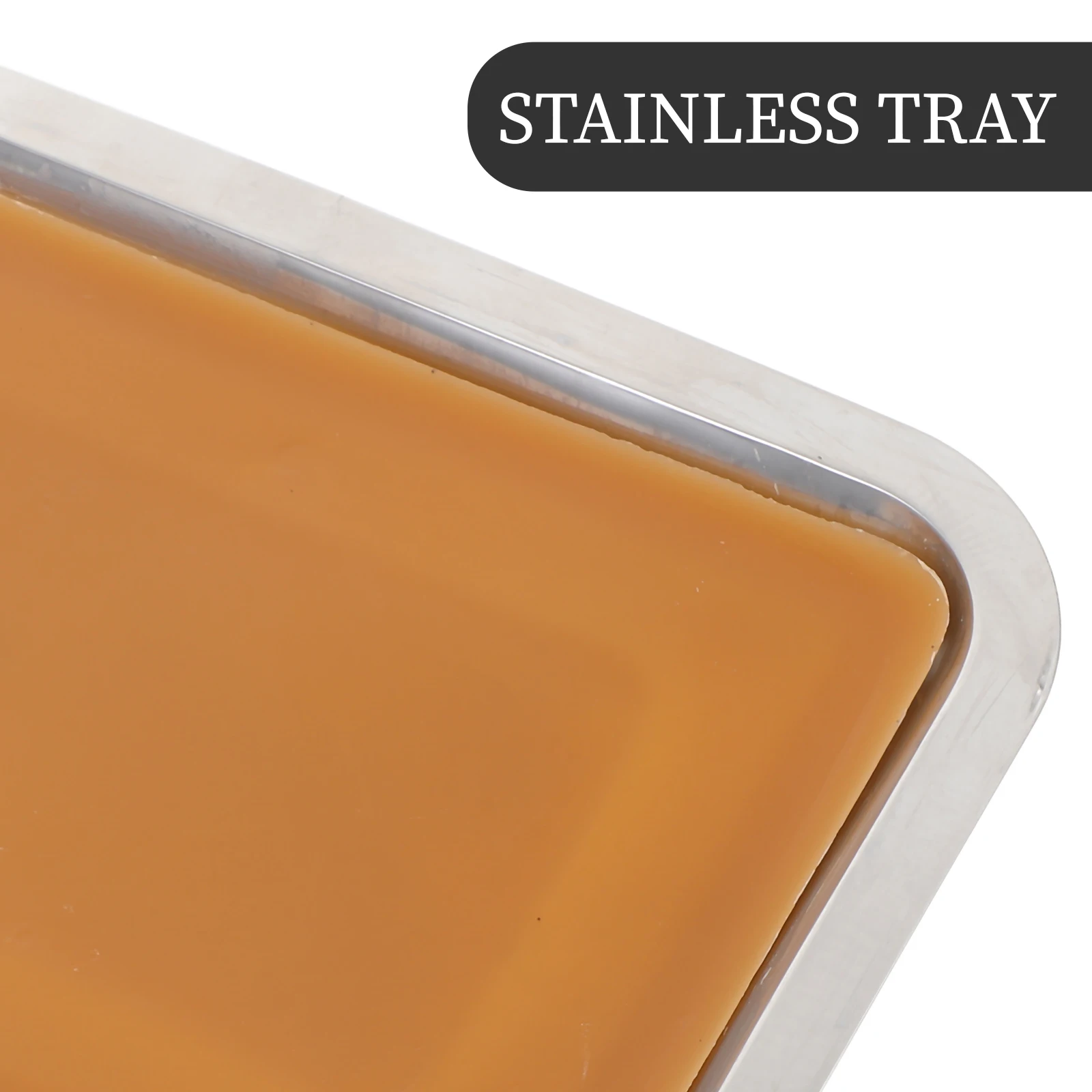 Biological Experiment Wax Plate Stainless Steel Dissection Tray Slope Sided Classroom Tools Junior Biological Equipment Teaching
Biological Experiment Wax Plate Stainless Steel Dissection Tray Slope Sided Classroom Tools Junior Biological Equipment Teaching
