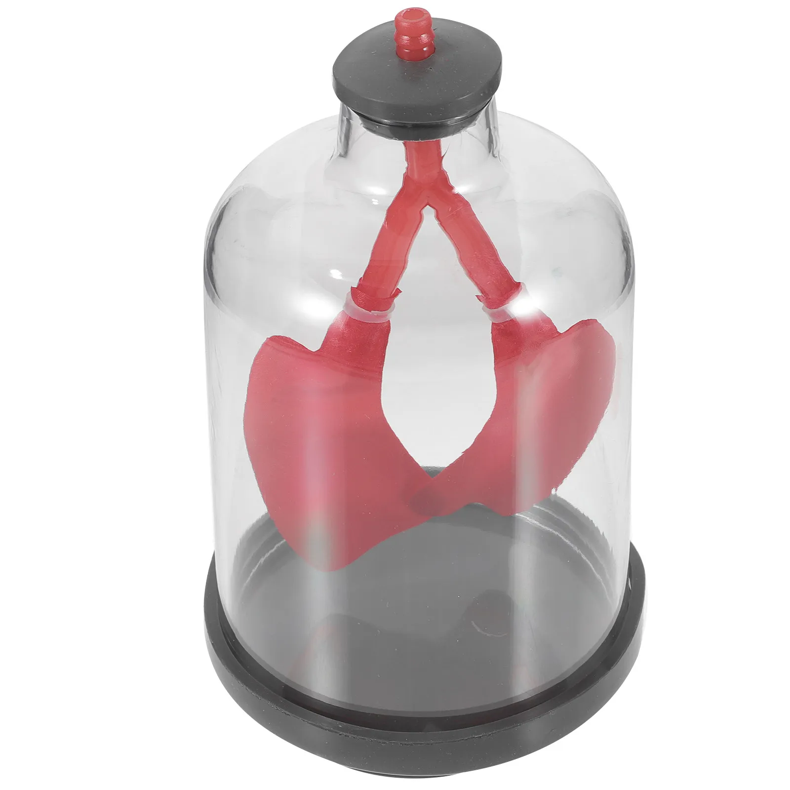 Lung Breathing Function Demonstration Educational Teaching Aid Transparent Chest Cavity Simulation Human Lung Breathing Teaching
Lung Breathing Function Demonstration Educational Teaching Aid Transparent Chest Cavity Simulation Human Lung Breathing Teaching