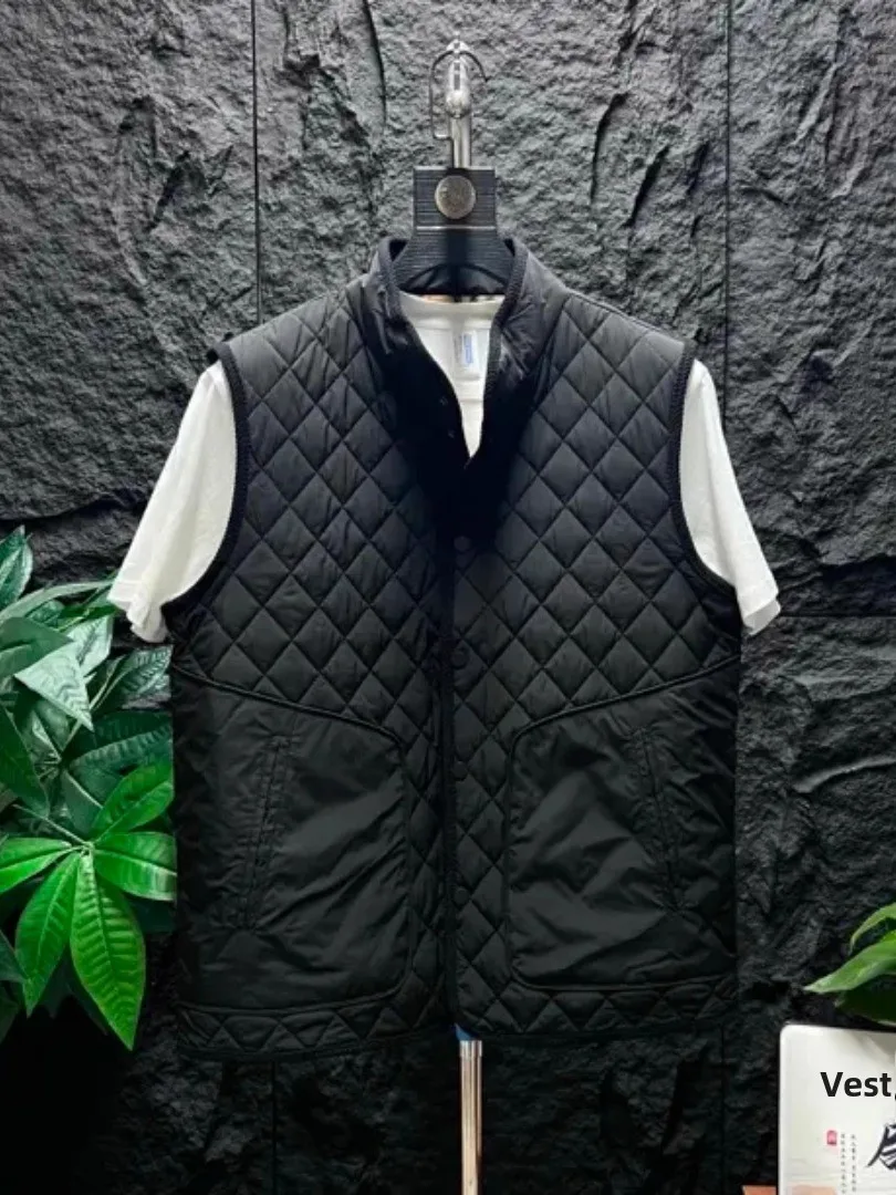 Высококачественный мужской жилет с воротником-стойкой, с наплечниками, повседневный, стильный, для бизнеса, зимний, модный, универсальный, приталенный, для молодежи
Высококачественный мужской жилет с воротником-стойкой, с наплечниками, повседневный, стильный, для бизнеса, зимний, модный, универсальный, приталенный, для молодежи