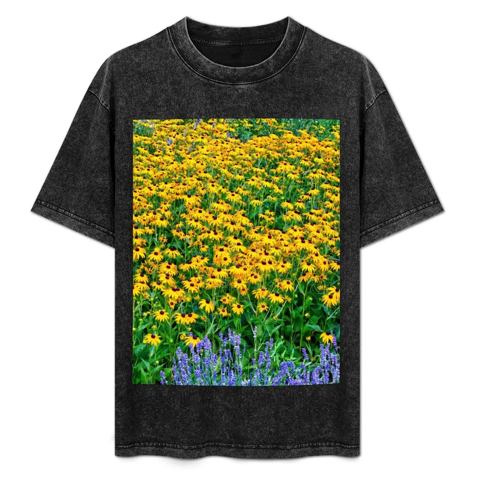 Black-eyed Susans And Lavender T-Shirt Casual Everyday Wear T-Shirt
Black-eyed Susans And Lavender T-Shirt Casual Everyday Wear T-Shirt