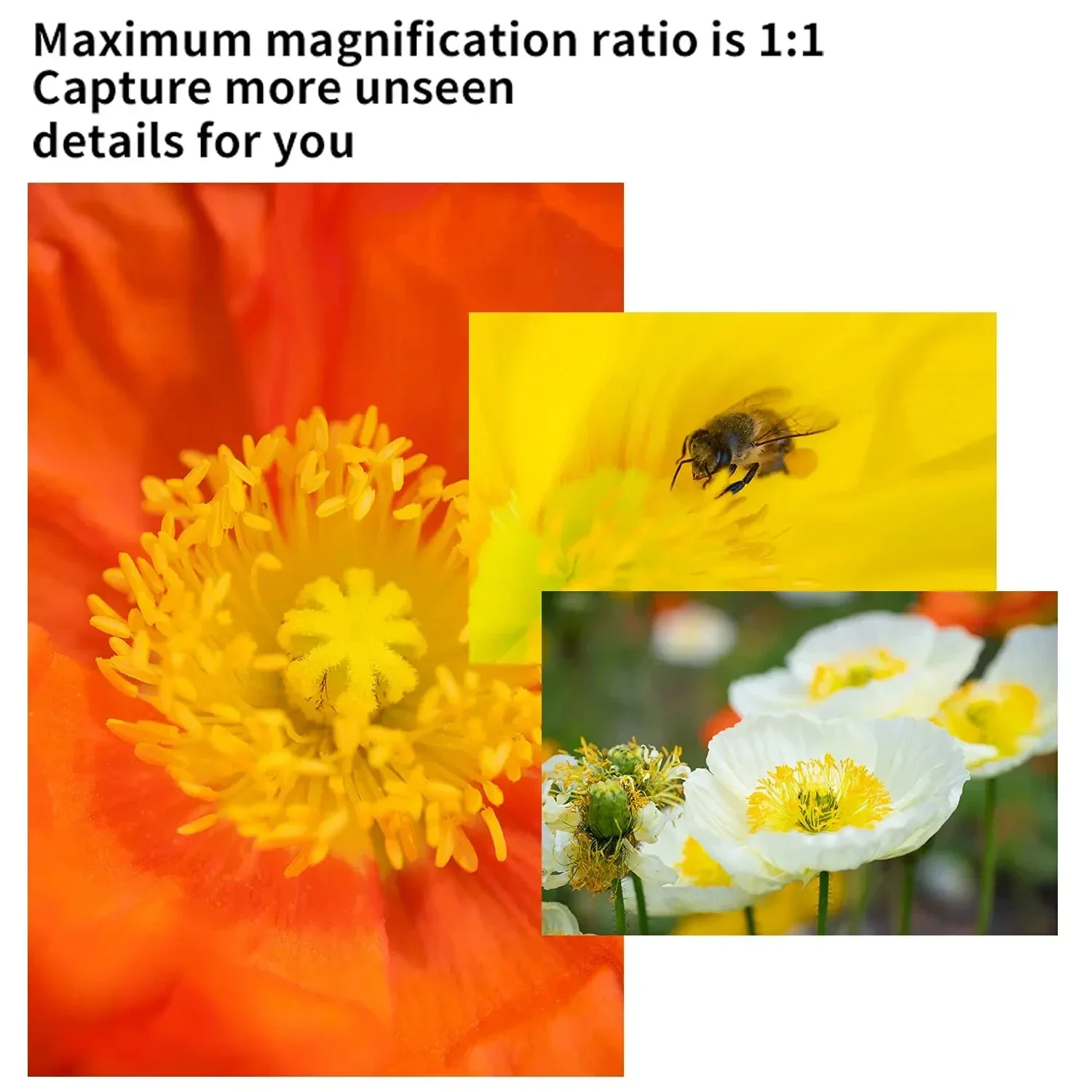 IN STOCK 7artisans 60mm F2.8 Mark II APS-C Macro Lens for E ZVE10 Nikon Z Z6II Fuji XF Canon EF-M M50 Canon RF R6 M4/3 T TL SL
IN STOCK 7artisans 60mm F2.8 Mark II APS-C Macro Lens for E ZVE10 Nikon Z Z6II Fuji XF Canon EF-M M50 Canon RF R6 M4/3 T TL SL