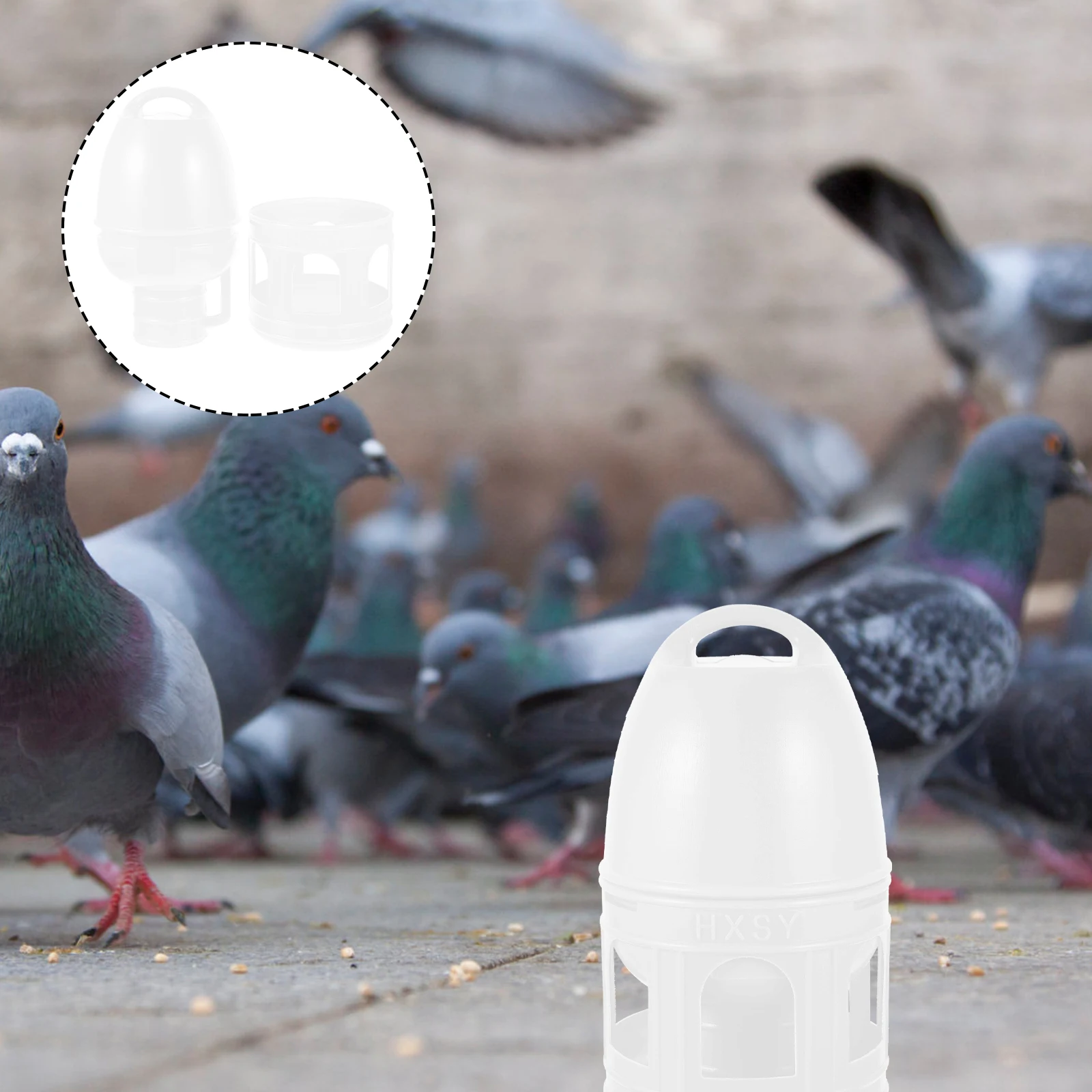 Quail Bird Feeder Pigeon Drinking Fountain for Outdoors Toy White No Mess Water
Quail Bird Feeder Pigeon Drinking Fountain for Outdoors Toy White No Mess Water