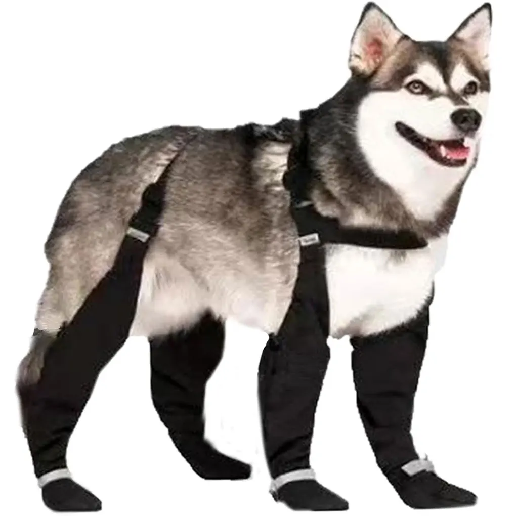 Светоотражающие сапоги для собак, нескользящая регулируемая защита лап для собак, регулируемая водонепроницаемая уличная прогулочная обувь
Светоотражающие сапоги для собак, нескользящая регулируемая защита лап для собак, регулируемая водонепроницаемая уличная прогулочная обувь