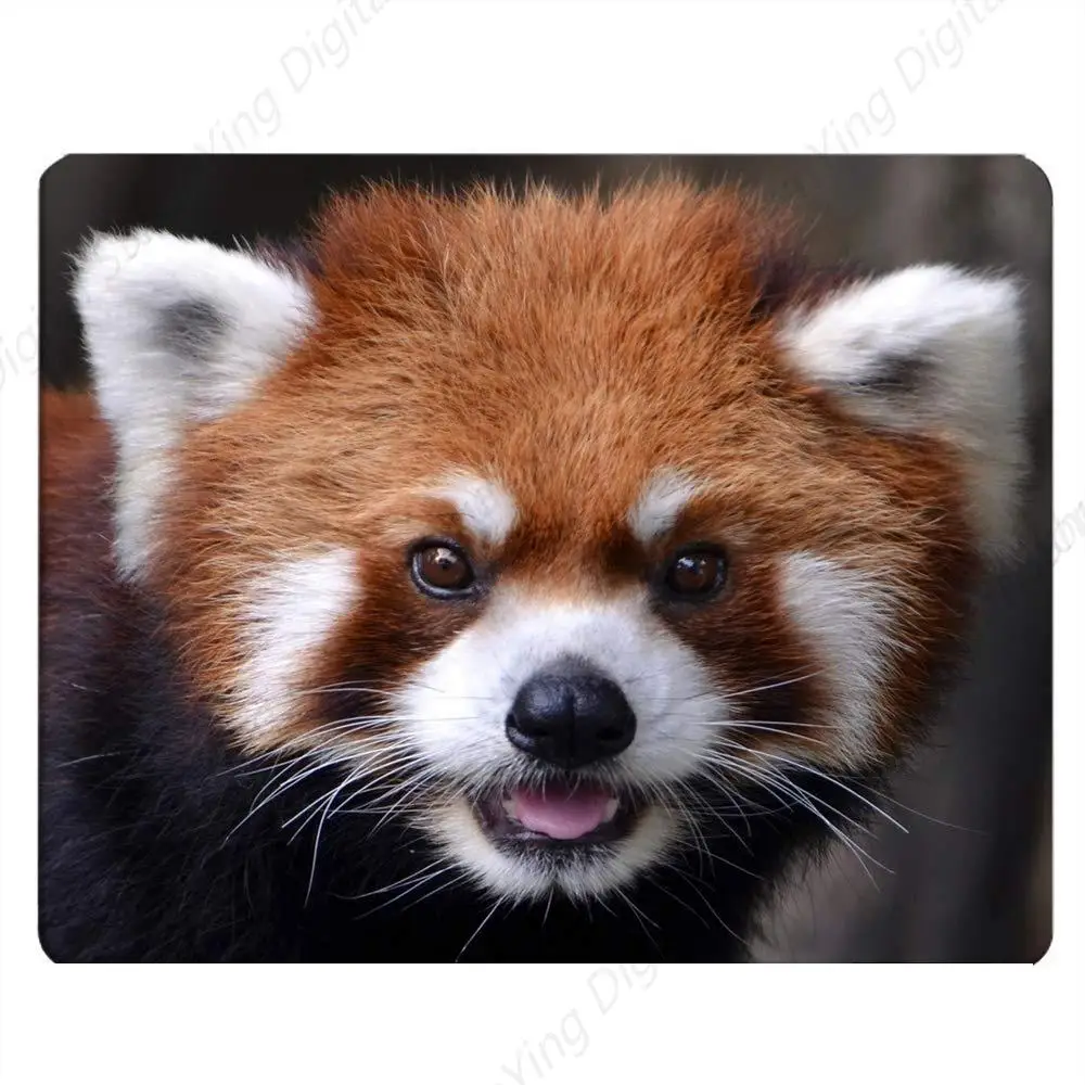 Panda Animal Enthusiast Mouse Pad Computer Desk Laptop Office Mouse Pad Anti Slip Rubber 18*22cm
Panda Animal Enthusiast Mouse Pad Computer Desk Laptop Office Mouse Pad Anti Slip Rubber 18*22cm