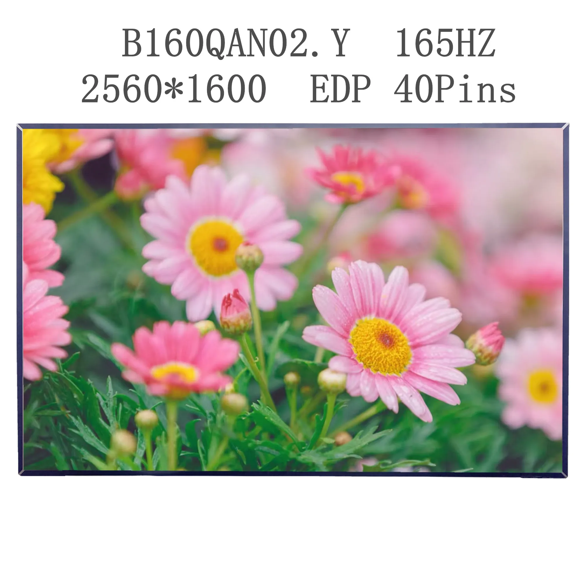 16.0'' 165Hz B160QAN02.Y Laptop LCD Screen Display Panel Matrix 2560*1600 EDP 40 Pins
16.0'' 165Hz B160QAN02.Y Laptop LCD Screen Display Panel Matrix 2560*1600 EDP 40 Pins