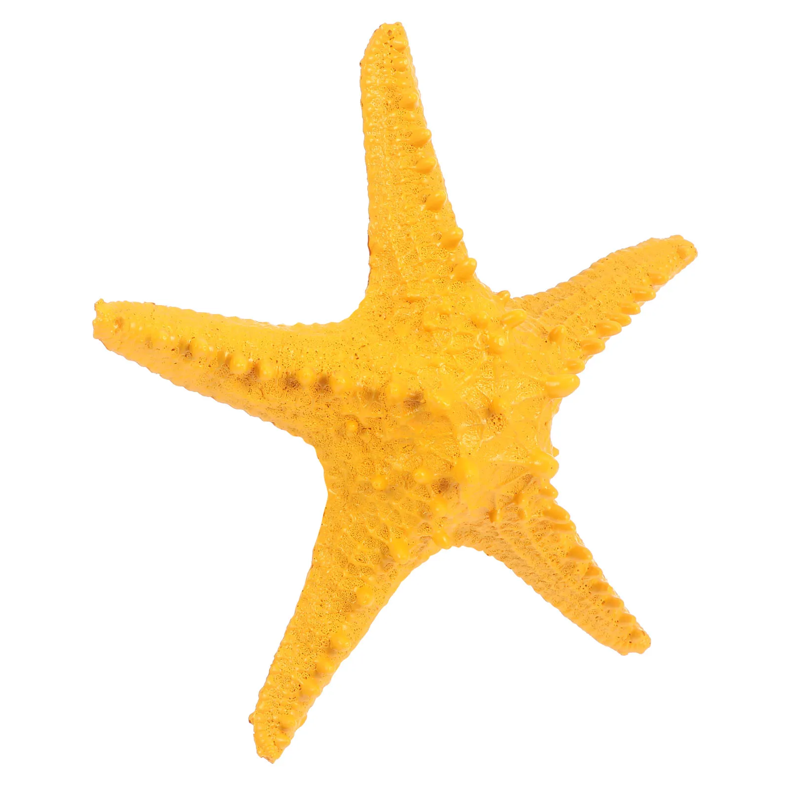 Resin Ocean Realistic Desktop Decoration Photo Props Artificial Sea Star Photo Props Fish Tank Desktop Party Craft
Resin Ocean Realistic Desktop Decoration Photo Props Artificial Sea Star Photo Props Fish Tank Desktop Party Craft