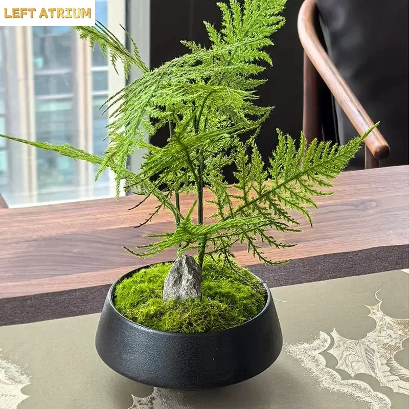 Mosses and Ferns Ceramic Flower Pot Green Plant Pot Succulent Planter Cactus Bonsai Pot Flower Container Home Decoration
Mosses and Ferns Ceramic Flower Pot Green Plant Pot Succulent Planter Cactus Bonsai Pot Flower Container Home Decoration