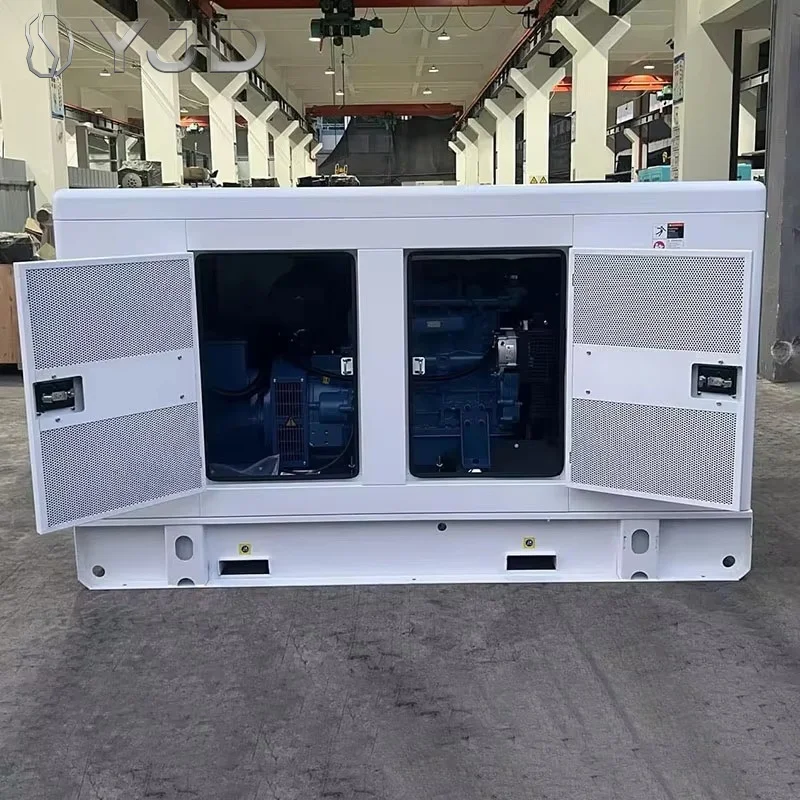 20kw/25kva 40kw/50kva 50/60Hz 1800RPM 400V Soundproof Diesel Generators with ATS Water Cooling Silent Diesel Generator Sale
20kw/25kva 40kw/50kva 50/60Hz 1800RPM 400V Soundproof Diesel Generators with ATS Water Cooling Silent Diesel Generator Sale