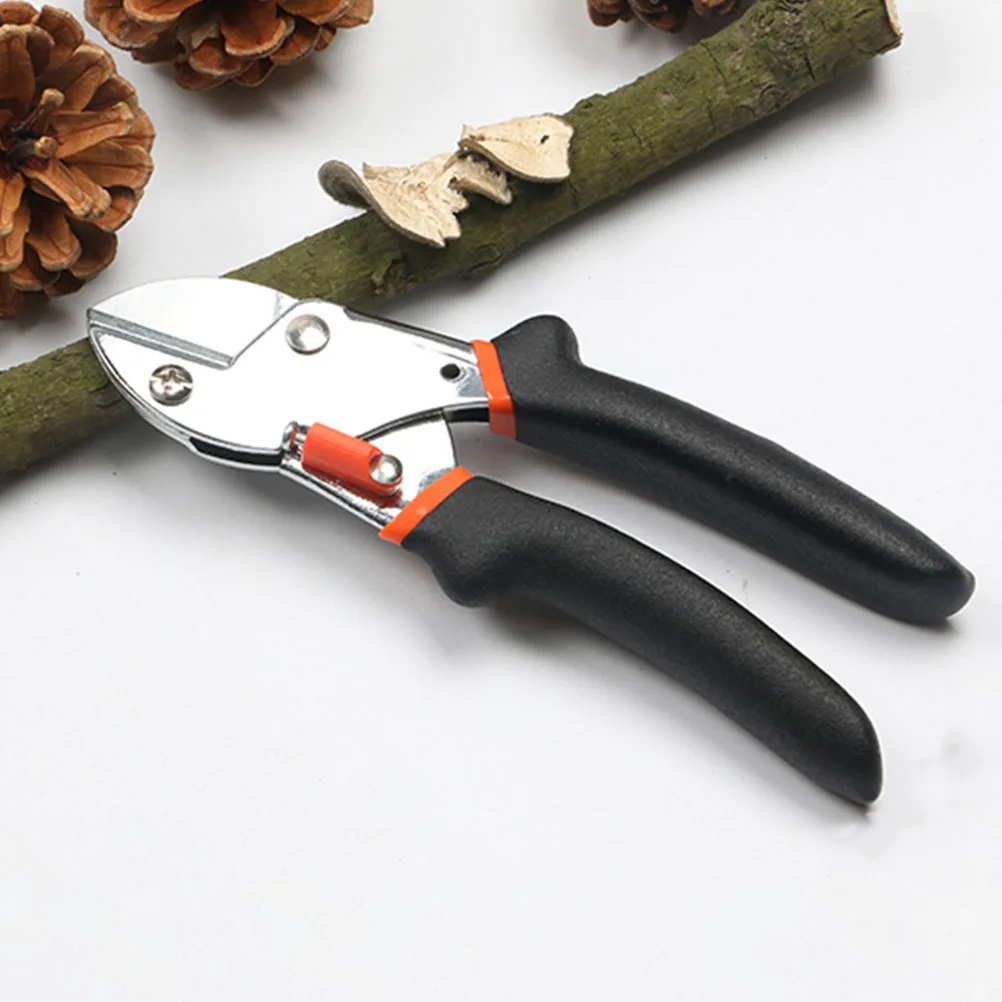 Pruning Shears Scissors Manual Gardening Branch Shaping Plastic Handle Accessory Cutting Edge
Pruning Shears Scissors Manual Gardening Branch Shaping Plastic Handle Accessory Cutting Edge