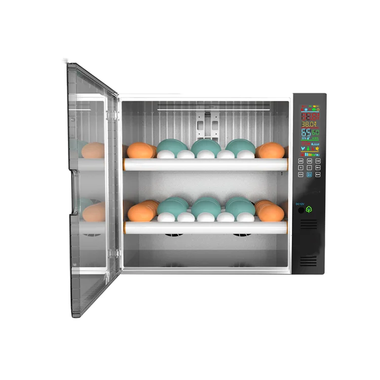 Incubator for Hatching Chicken Eggs Dual Power Temperature Automatic Chicken Egg Incubator
Incubator for Hatching Chicken Eggs Dual Power Temperature Automatic Chicken Egg Incubator