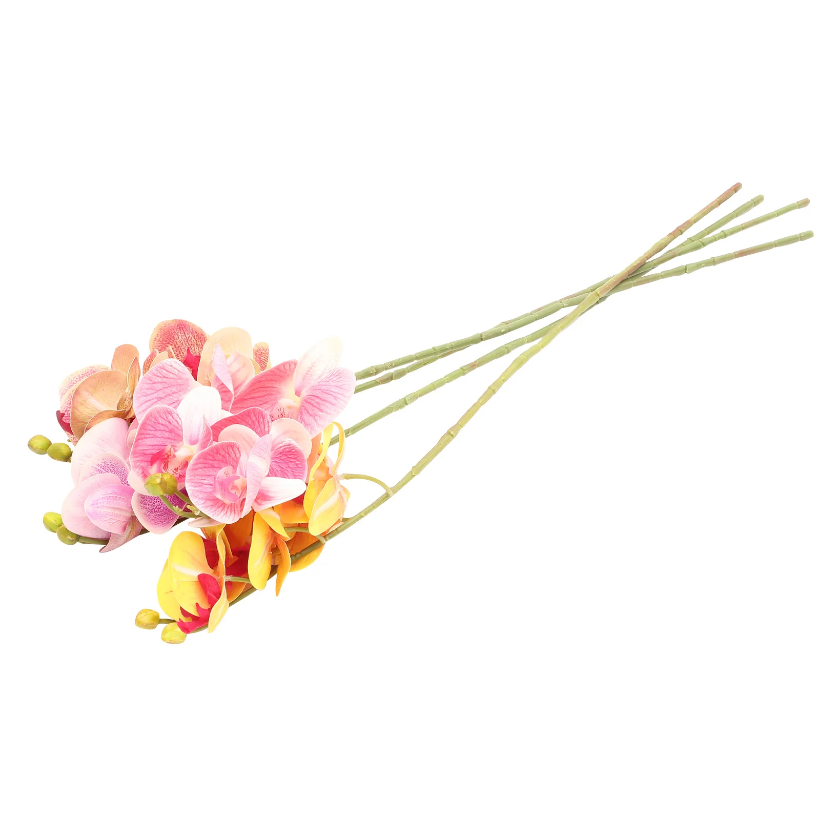 4pcs Reptile Plants Artificial Terrarium Decor Lifelike Reptile Box Decoration For Turtle Tank Fish Aquarium Fake Plant Climb
4pcs Reptile Plants Artificial Terrarium Decor Lifelike Reptile Box Decoration For Turtle Tank Fish Aquarium Fake Plant Climb