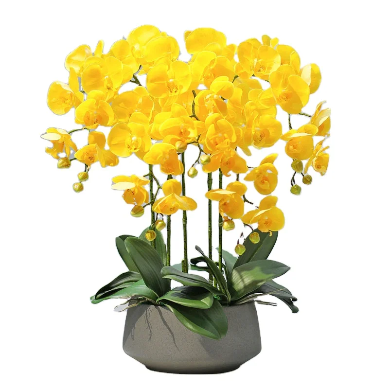 Artificial Flower Phalaenopsis Home Wedding High Quality Decoration Orchid Artificial Flowers for Wedding Decoration
Artificial Flower Phalaenopsis Home Wedding High Quality Decoration Orchid Artificial Flowers for Wedding Decoration