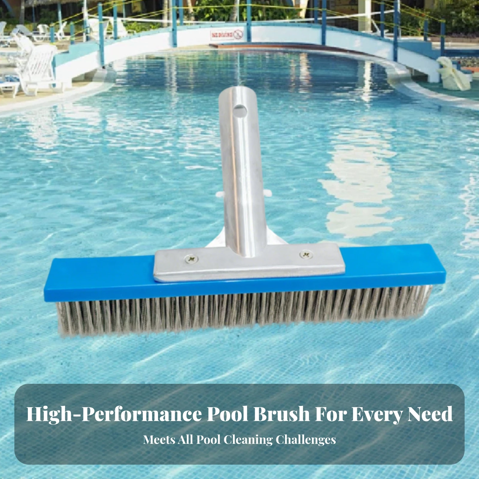 Pool Cleaning Brush Aluminum Handle Swimming Pool Brush Flat Metal Back Heavy Duty
Pool Cleaning Brush Aluminum Handle Swimming Pool Brush Flat Metal Back Heavy Duty