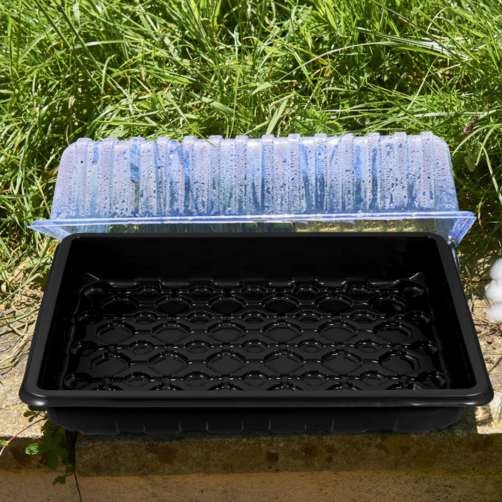 Seedling Tray Accessories 50 Cells Black Pots Breathable Design Indoor Starting Germination Trays Sprouting Microgreens Nursery
Seedling Tray Accessories 50 Cells Black Pots Breathable Design Indoor Starting Germination Trays Sprouting Microgreens Nursery