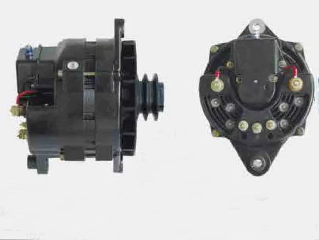 Factory Supply truck 48v alternator generator 48 volt 60a dc alternator with pulley alternador 48v
Factory Supply truck 48v alternator generator 48 volt 60a dc alternator with pulley alternador 48v