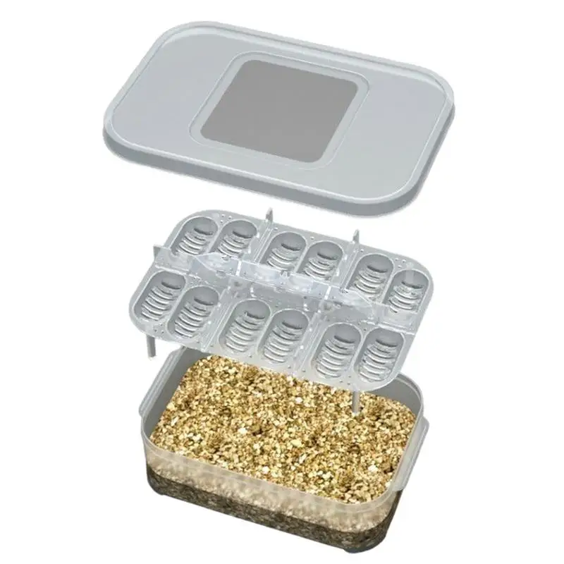 Reptile Egg Incubator Tray 12 Grids Transparent Reptiles Eggs Incubator Tray Incubation Box Hatching Tray Hatching Case
Reptile Egg Incubator Tray 12 Grids Transparent Reptiles Eggs Incubator Tray Incubation Box Hatching Tray Hatching Case