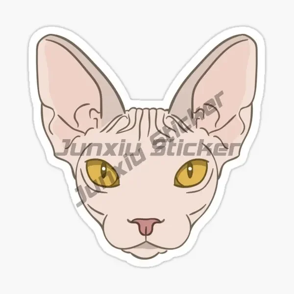 Sphinx Hairless Cat Color Creative Sticker Motor Bumper Car Bicycle Van Glass Helmet Decoration PVC Decal
Sphinx Hairless Cat Color Creative Sticker Motor Bumper Car Bicycle Van Glass Helmet Decoration PVC Decal