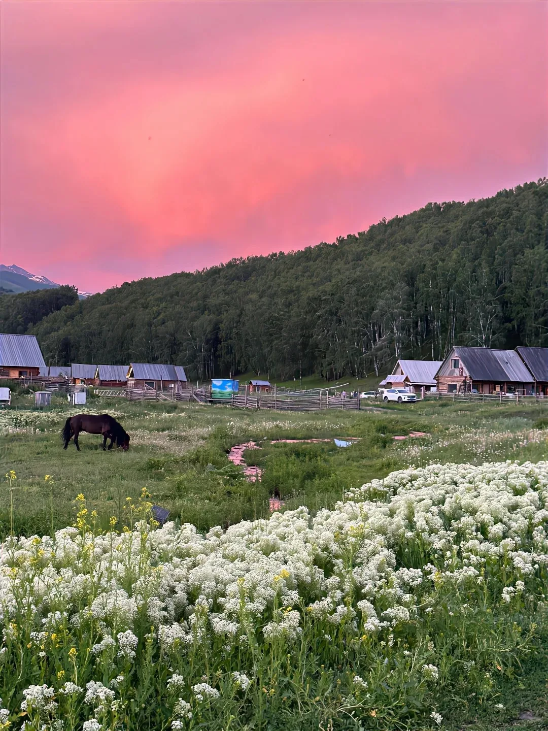 8+256G Android 13 Car Radio Player GPS Navi for Chevrolet Silverado GMC SIERRA 2014-2018 Auto Stereo Multimedia carplay HeadUnit
8+256G Android 13 Car Radio Player GPS Navi for Chevrolet Silverado GMC SIERRA 2014-2018 Auto Stereo Multimedia carplay HeadUnit