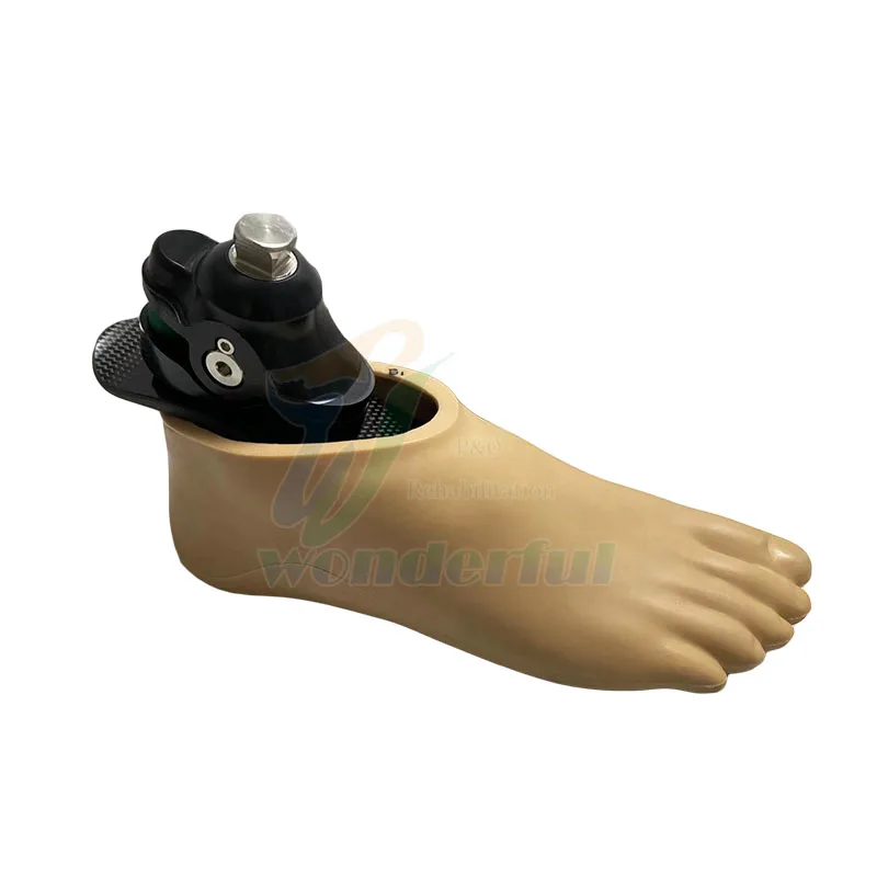 Medical Artificial Limbs Prosthetic Artificial Foot Prosthetic Carbon Fiber Foot Prosthetic Foot for Amputee
Medical Artificial Limbs Prosthetic Artificial Foot Prosthetic Carbon Fiber Foot Prosthetic Foot for Amputee