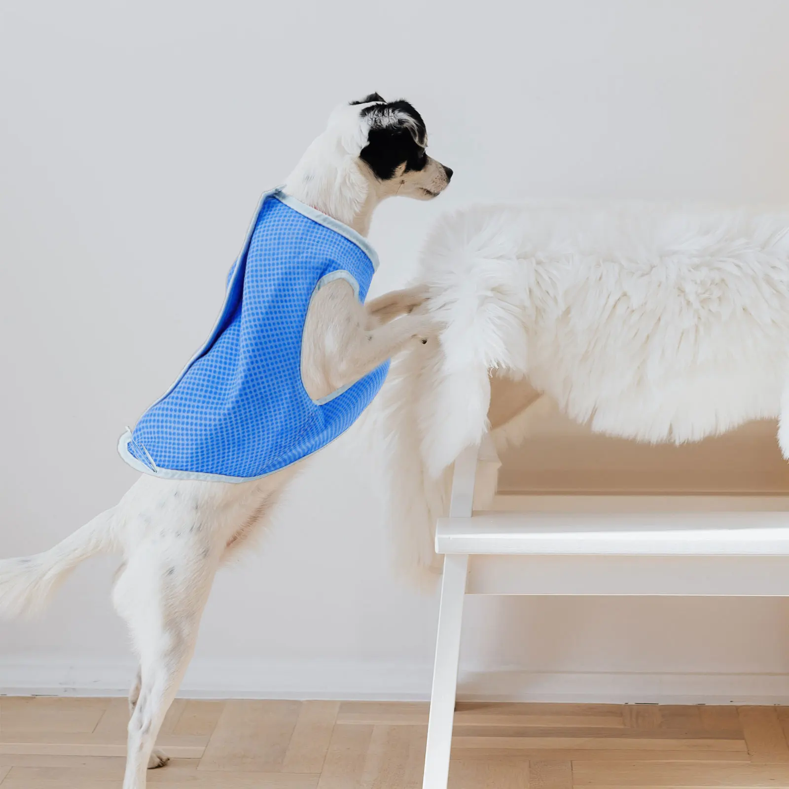 Dog Cooling Vest Pet Accessories Harness Summer Effortless Shirts Dogs Adjustable Cat PVA
Dog Cooling Vest Pet Accessories Harness Summer Effortless Shirts Dogs Adjustable Cat PVA