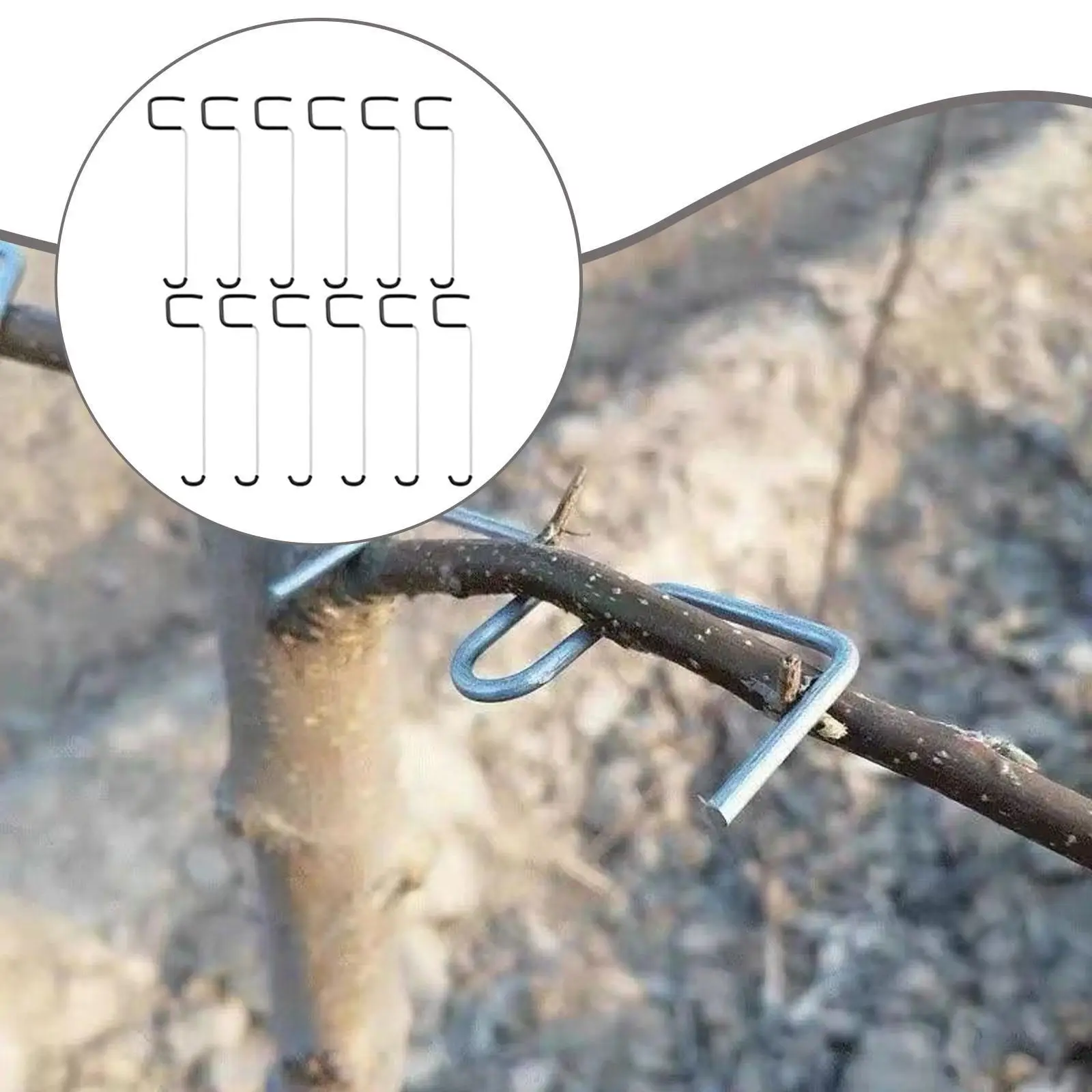 Galvanized Steel Fruit Tree Branch Spreader Reusable Limb Bending Tool for Yard and Bonsai Gardening
Galvanized Steel Fruit Tree Branch Spreader Reusable Limb Bending Tool for Yard and Bonsai Gardening