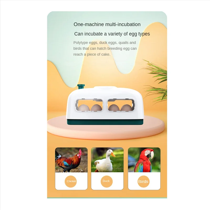 【Superdeals】8 Puzzle Incubators Small Incubators Eight Incubators Eggs Incubator Fully Automatic Turning EU Plug
【Superdeals】8 Puzzle Incubators Small Incubators Eight Incubators Eggs Incubator Fully Automatic Turning EU Plug
