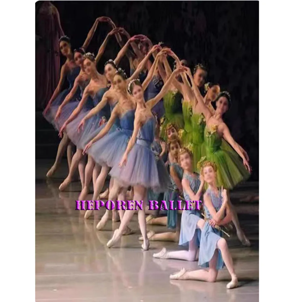 The Queen of Dryad Don Quixot Ballet Dress With Silk Flowers Decorations,Colorful Elf Dance Waltz of the Flower Balet Costume
The Queen of Dryad Don Quixot Ballet Dress With Silk Flowers Decorations,Colorful Elf Dance Waltz of the Flower Balet Costume